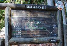 西丹沢県民の森コース