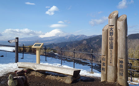 大野山コース