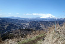 大野山コース