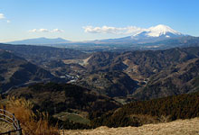 大野山コース