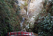 洒水の滝・河村城址コース