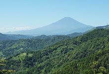 高松山コース