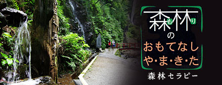 森林のおもてなし