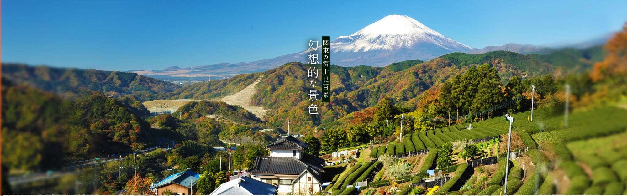 関東の富士見百景 幻想的な景色