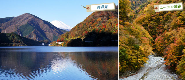 丹沢湖 ユーシン渓谷