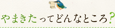 やまきたってどんなところ?